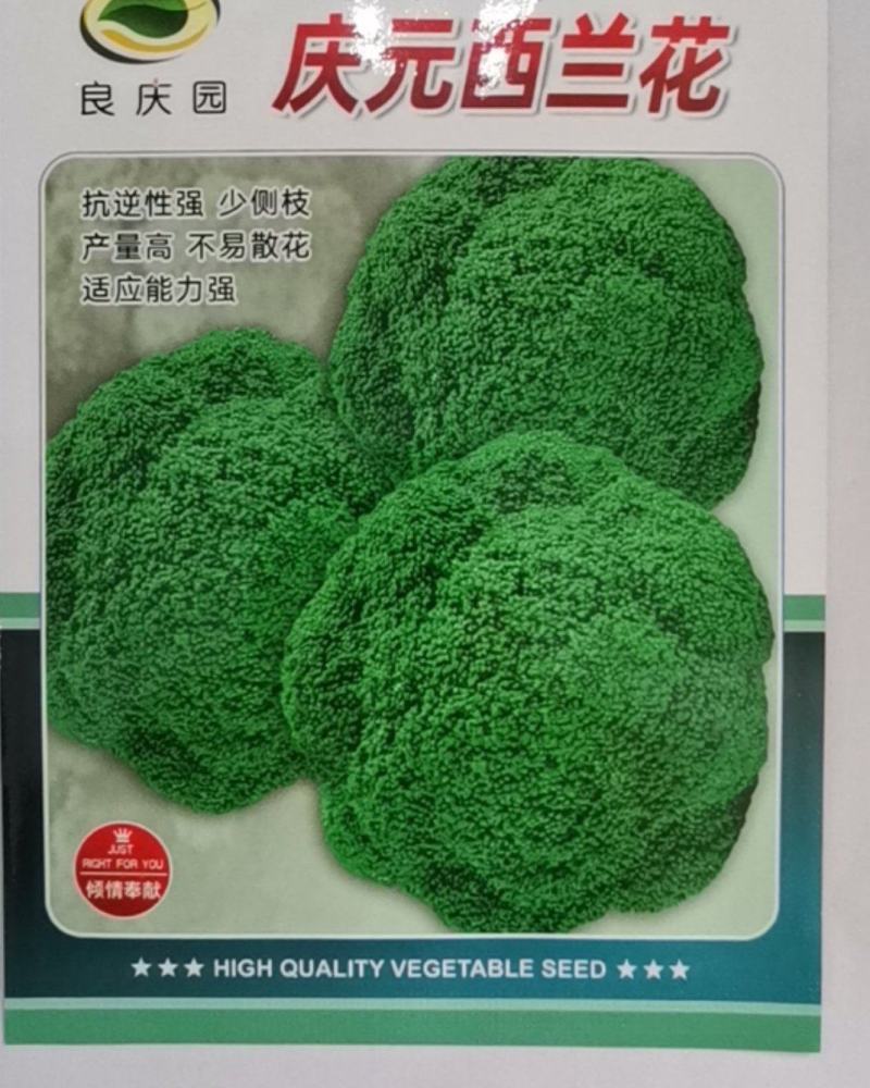 庆元西兰花抗逆性强，少侧枝，产量高，不易散花，适应能力强