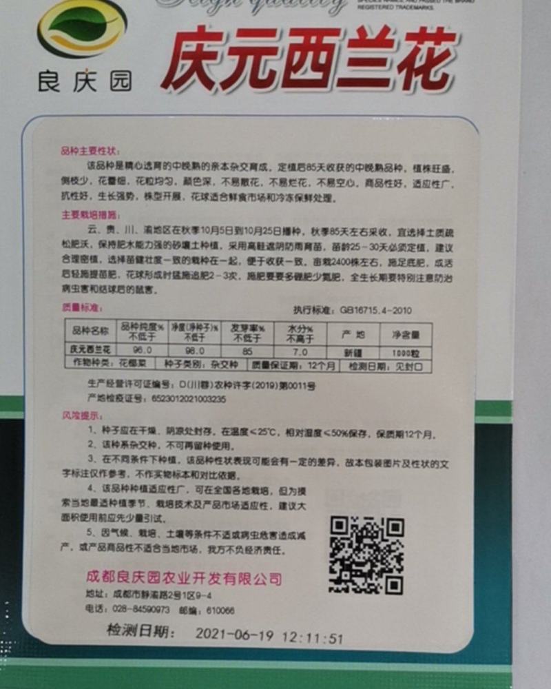 庆元西兰花抗逆性强，少侧枝，产量高，不易散花，适应能力强