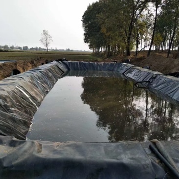 防渗膜鱼塘鱼池水产养殖专用黑色加厚塑料膜防水藕池hdpe