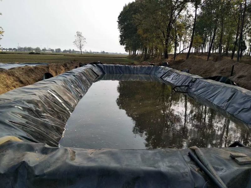 防渗膜鱼塘鱼池水产养殖专用黑色加厚塑料膜防水藕池hdpe