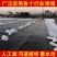 防渗膜鱼塘鱼池水产养殖专用黑色加厚塑料膜防水藕池hdpe