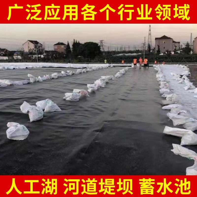 防渗膜鱼塘鱼池水产养殖专用黑色加厚塑料膜防水藕池hdpe