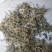 垂盆草统装500g产地山东振兴药材购销站量大从优