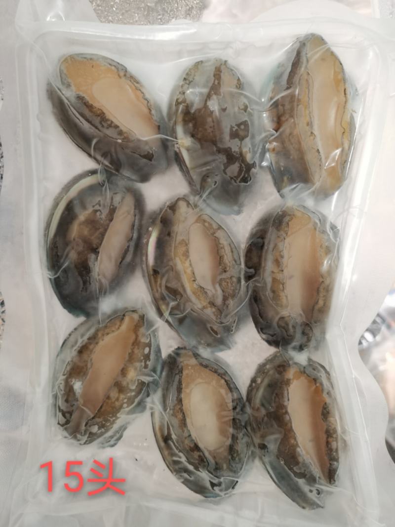 东山大鲍鱼成品鲍鱼冻鲍鱼适合酒店鲍鱼
