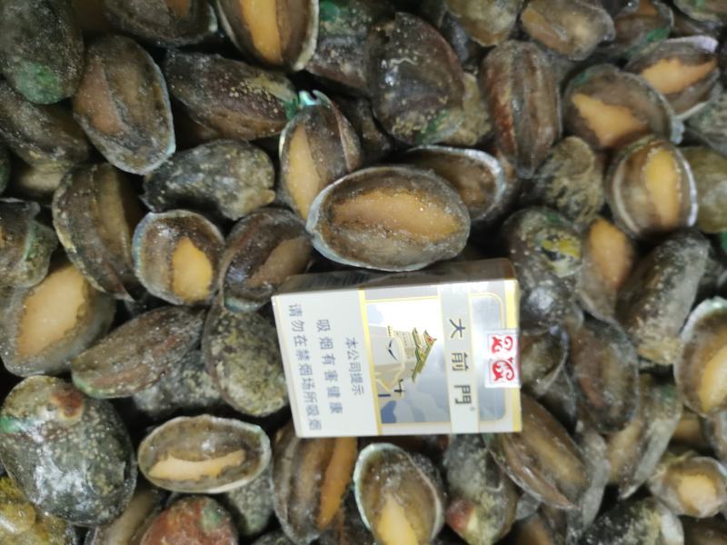 东山大鲍鱼成品鲍鱼冻鲍鱼适合酒店鲍鱼