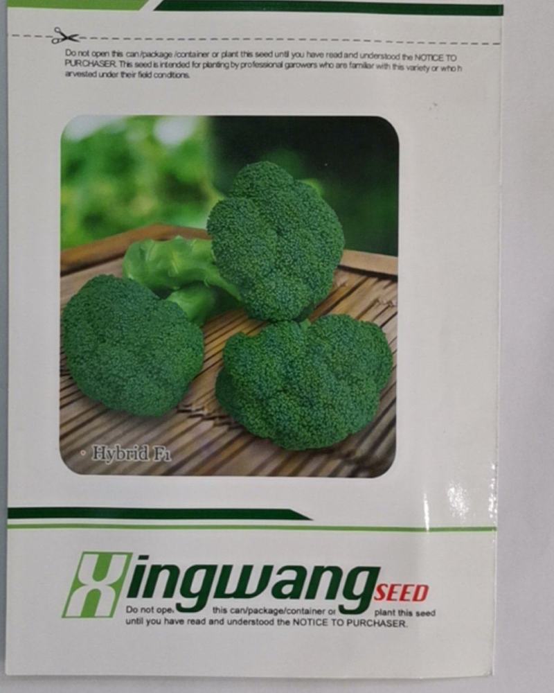强绿西兰花，无空茎，花球坚实，花很细小，颜色绿，抗病性强