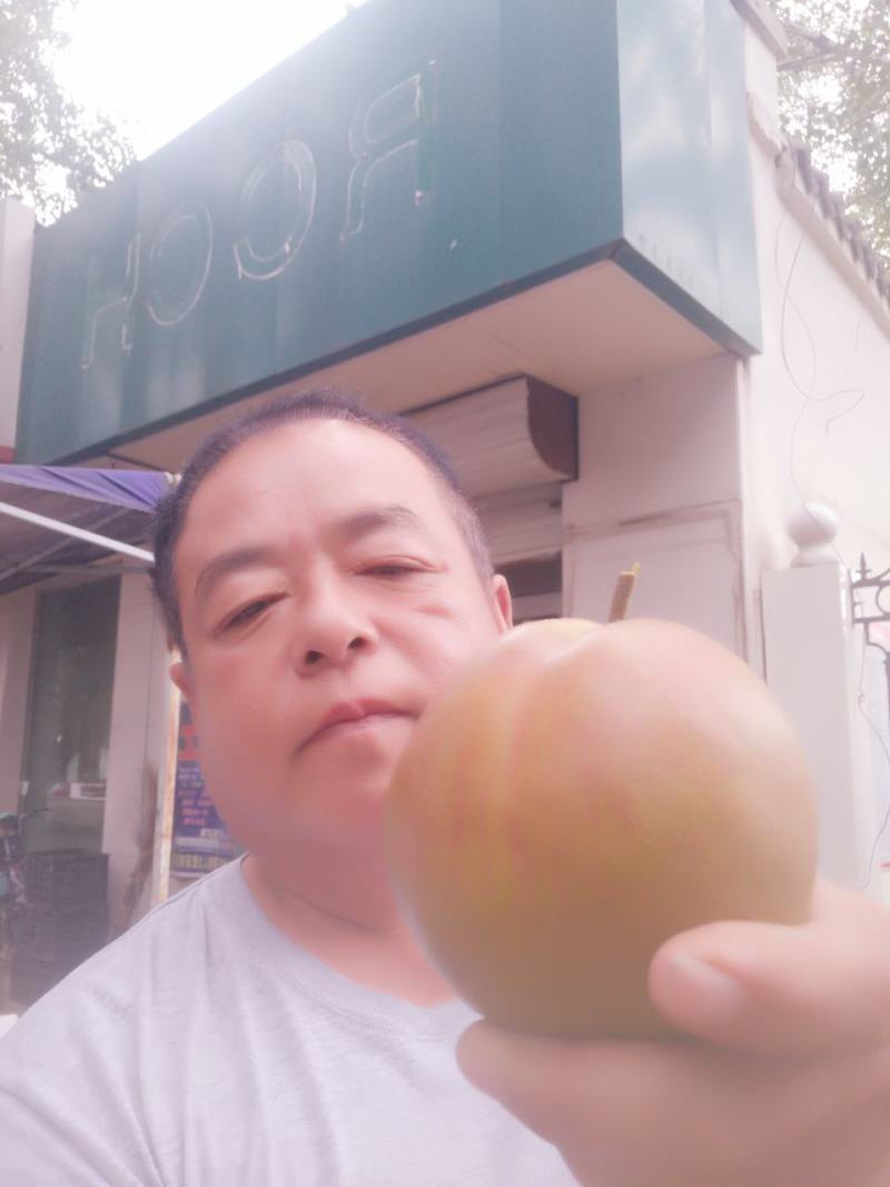 玉露香梨，红香酥梨