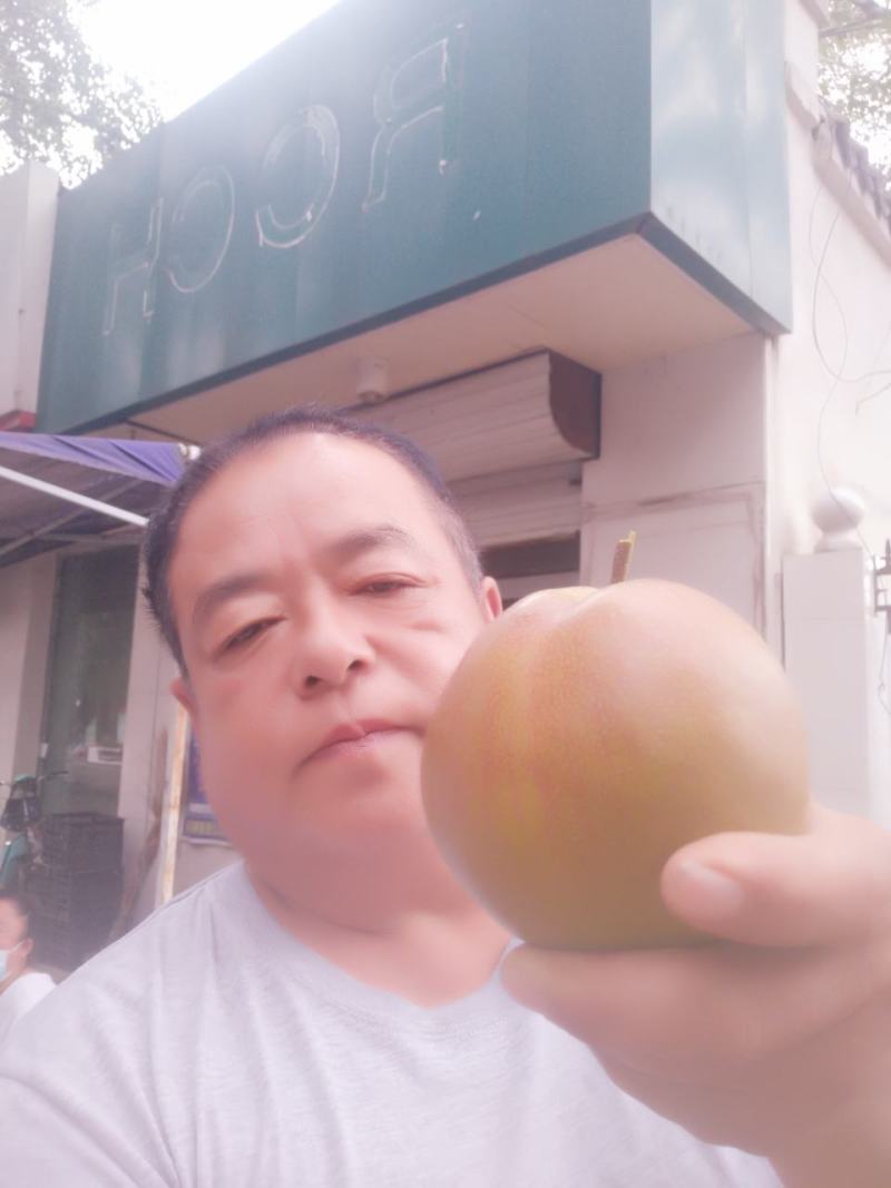 玉露香梨，红香酥梨