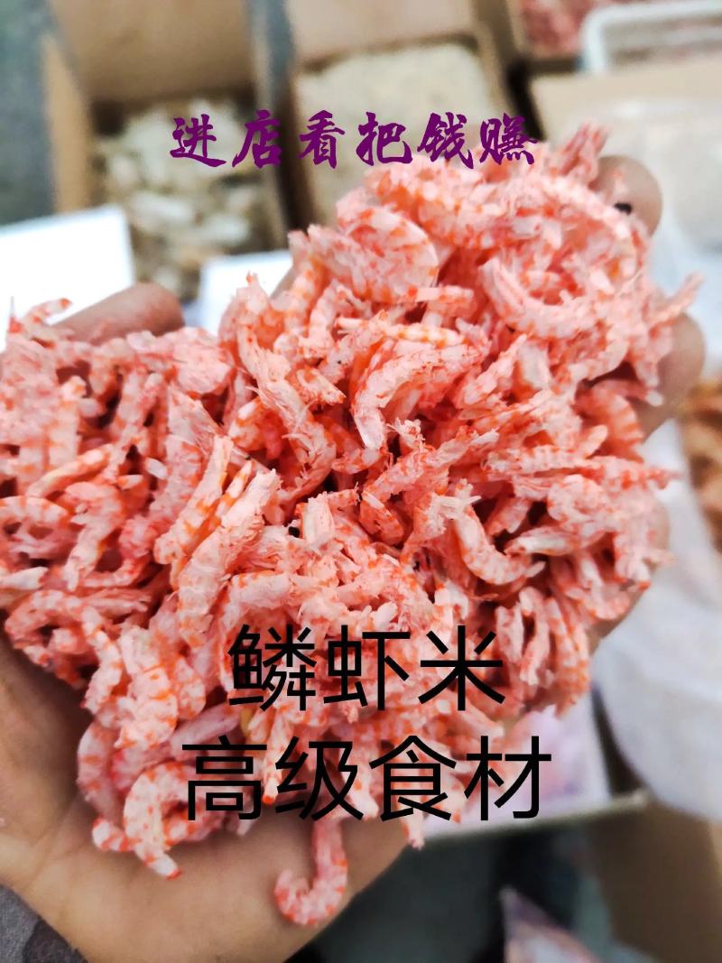 鳞虾米加工厂直供（无盐淡干）干度九成流动摊热卖