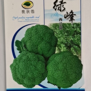 绿峰西兰花，花很细，颜色绿，抗病强，生长强势，耐雨水。