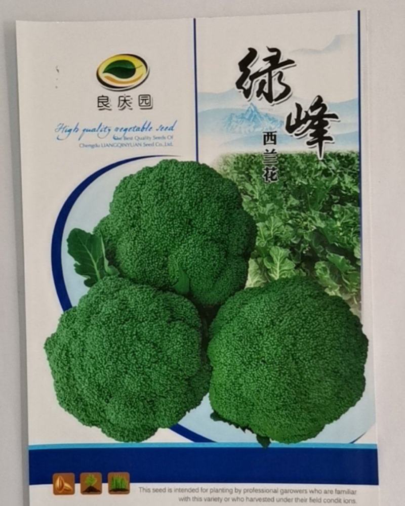 绿峰西兰花，花很细，颜色绿，抗病强，生长强势，耐雨水。