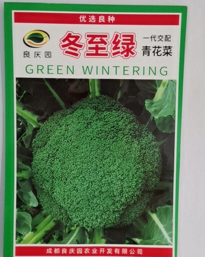 东至绿青花菜为中晚熟品种，高球形，植物强势，花蕾细腻