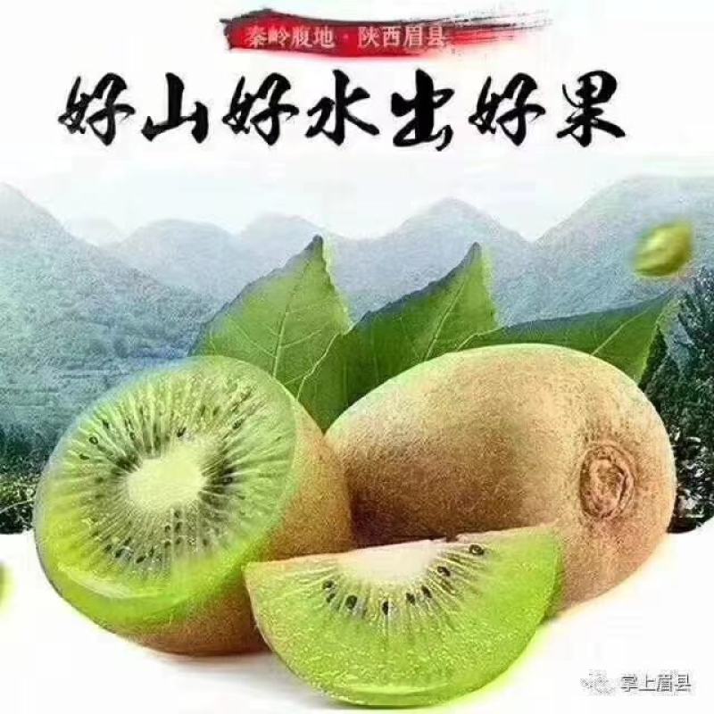 陕西眉县猕猴桃