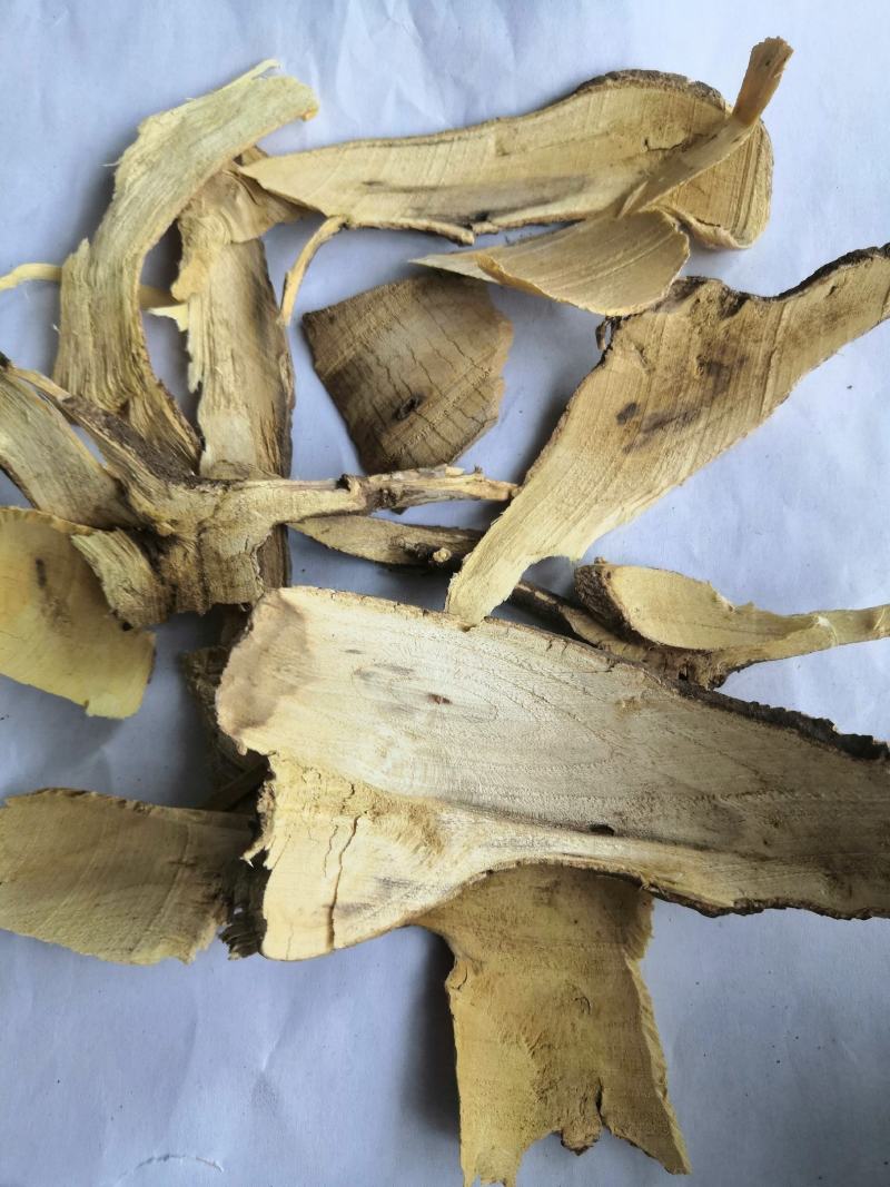 产地直销棉花根低价出售