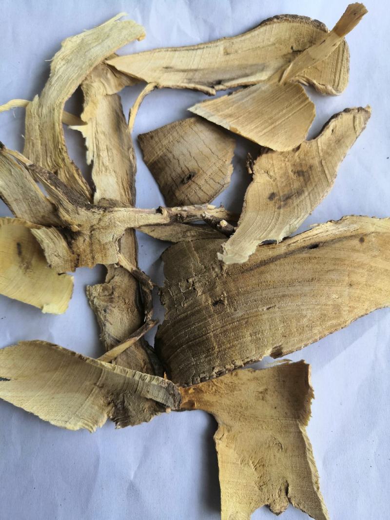 产地直销棉花根低价出售