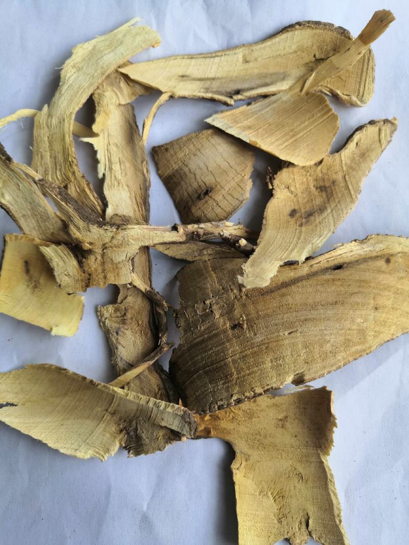 产地直销棉花根低价出售