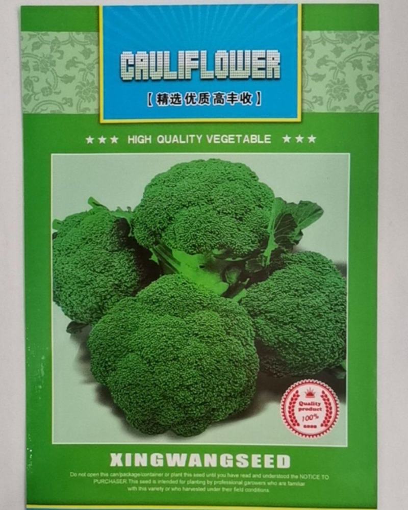 珍绿青花菜，中晚熟品种，花粒细小，颜色绿，抗病性强，