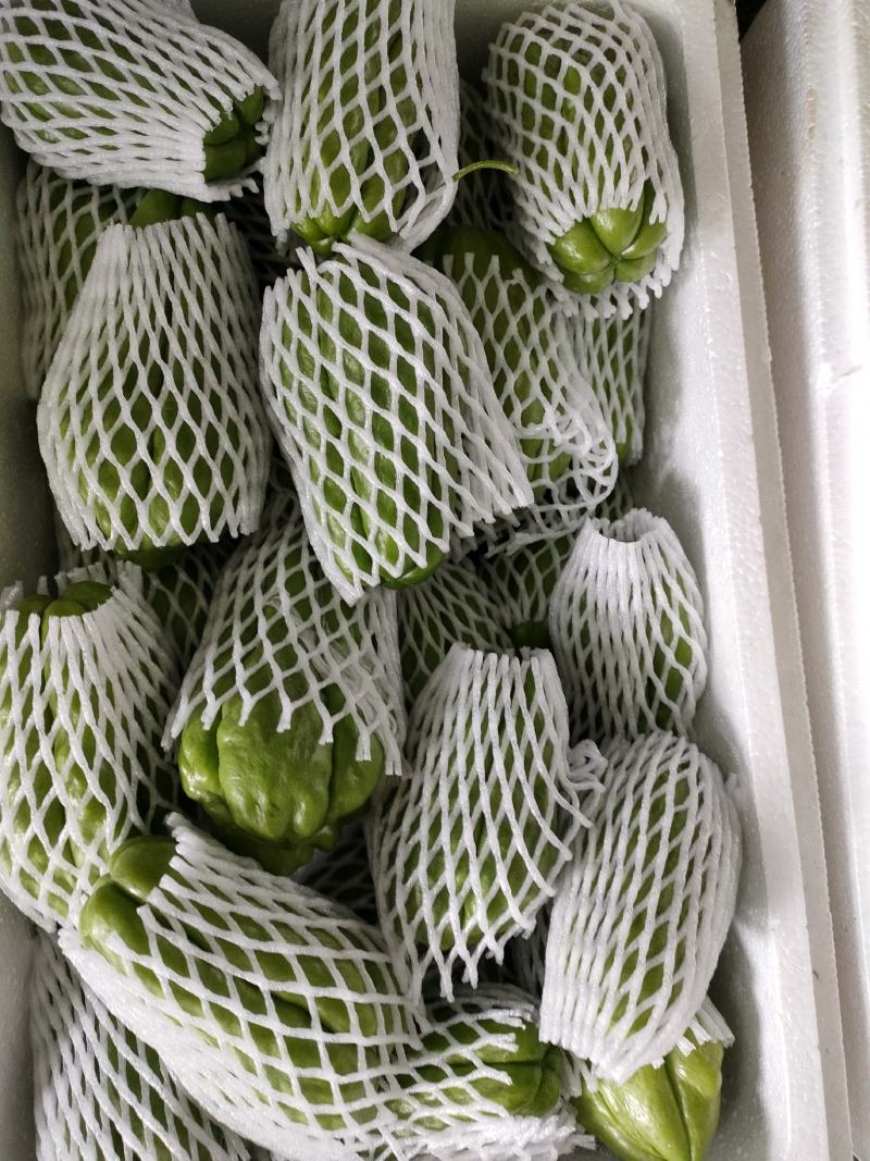 佛手瓜产地直供精选包装高品质纯绿色