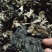 地摊热卖毛木耳纯干货基地直供火锅串串食堂专供