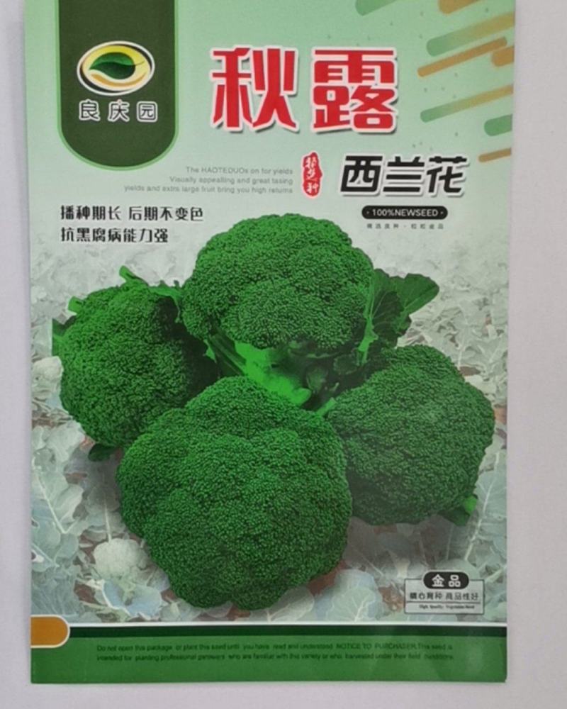秋露西兰花，抗黑腐病强，花粒细腻，后期不变色，不烂花。