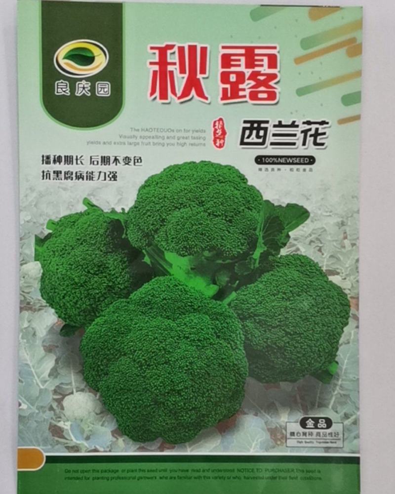 秋露西兰花，抗黑腐病强，花粒细腻，后期不变色，不烂花。