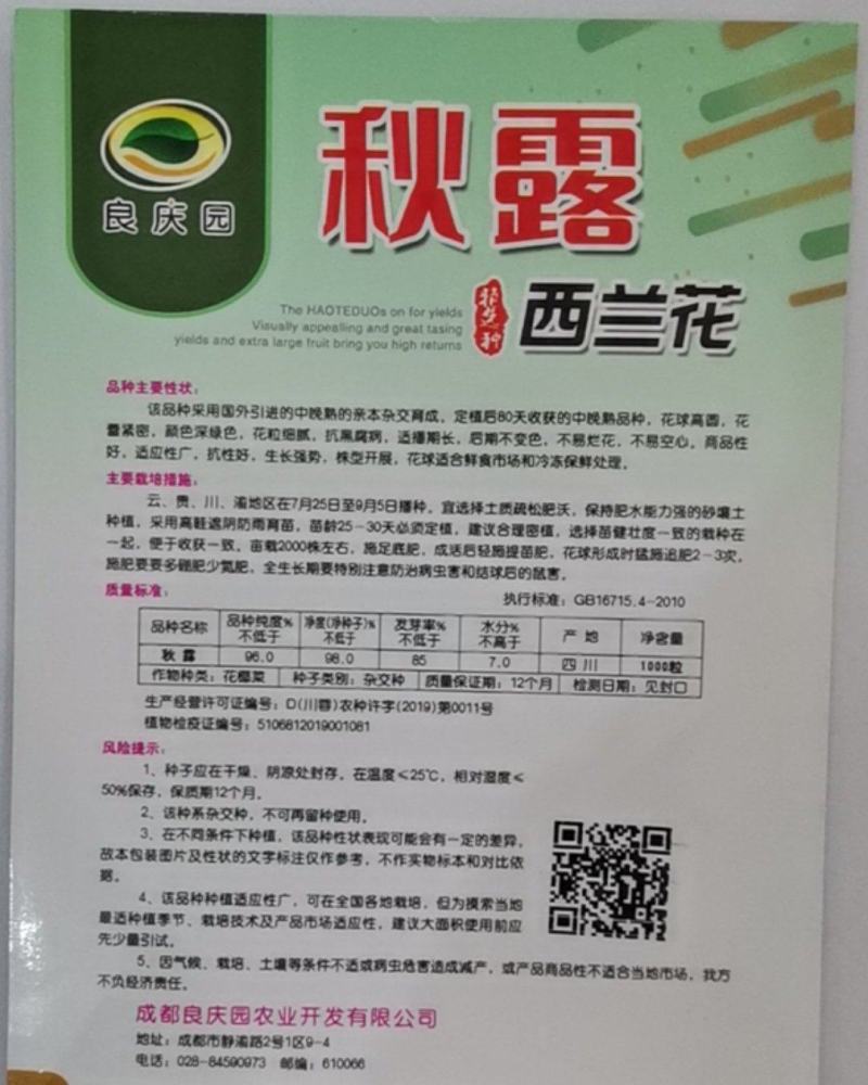 秋露西兰花，抗黑腐病强，花粒细腻，后期不变色，不烂花。