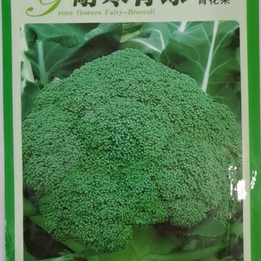 耐寒青绿青花菜，花蕾细小，高原形，不易空心烂花，不变色