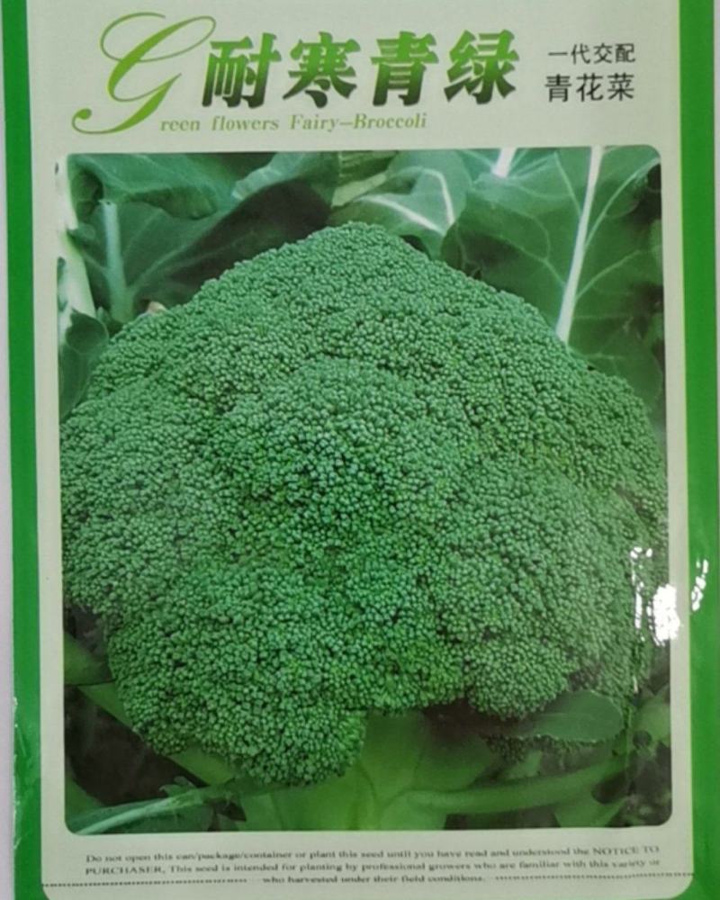 耐寒青绿青花菜，花蕾细小，高原形，不易空心烂花，不变色