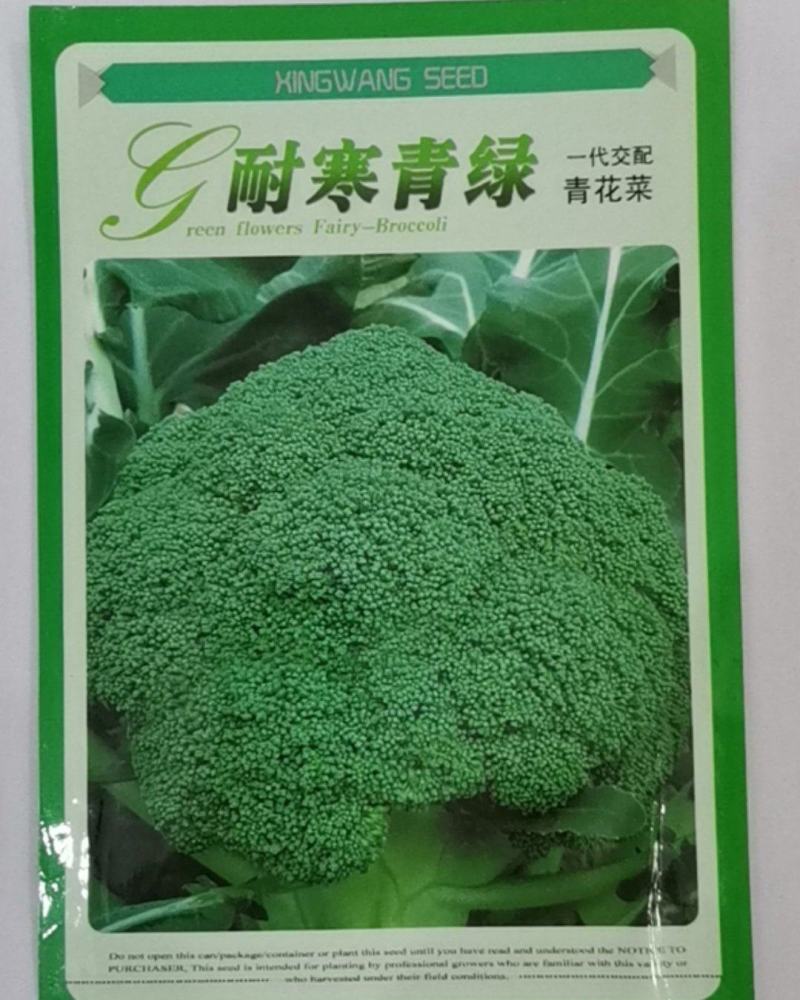 耐寒青绿青花菜，花蕾细小，高原形，不易空心烂花，不变色