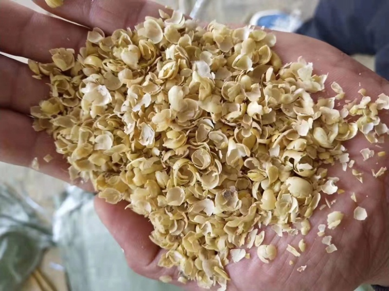 大壳豆皮，碎豆皮