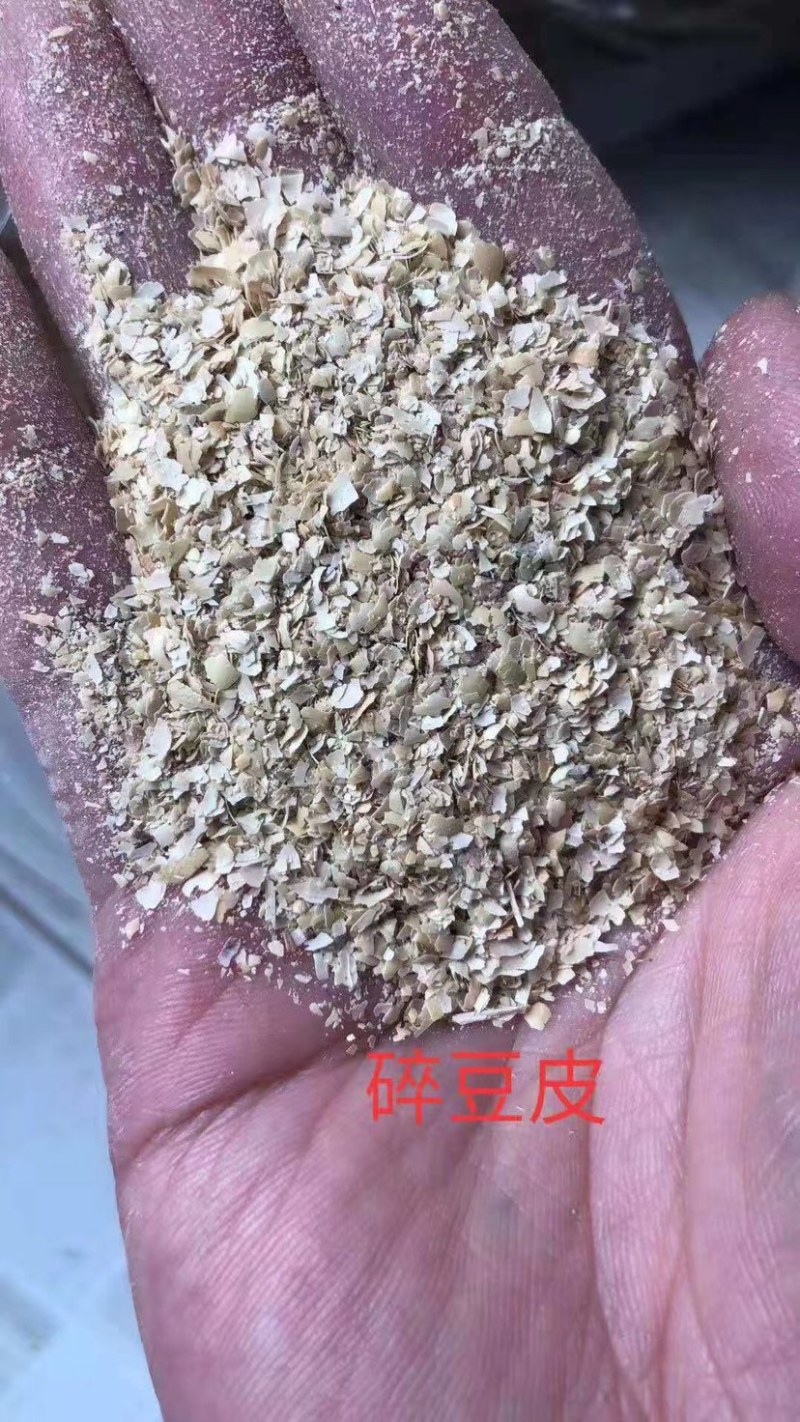 大壳豆皮，碎豆皮