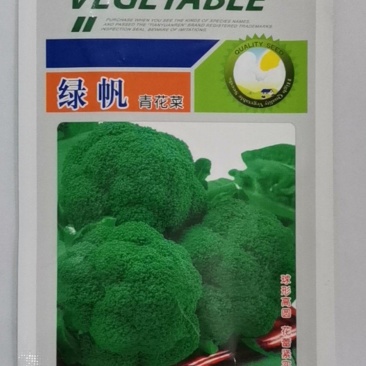 绿帆青花菜，球形高原，花蕾紧实，自覆性强，颜色深绿，抗病