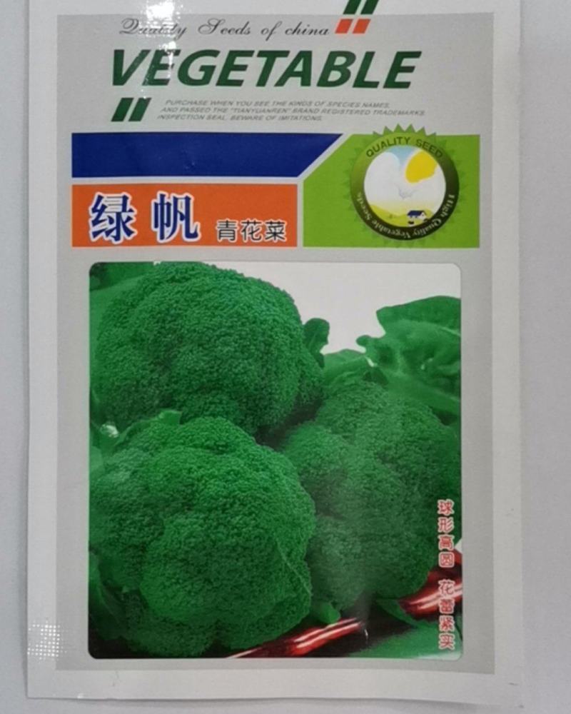 绿帆青花菜，球形高原，花蕾紧实，自覆性强，颜色深绿，抗病