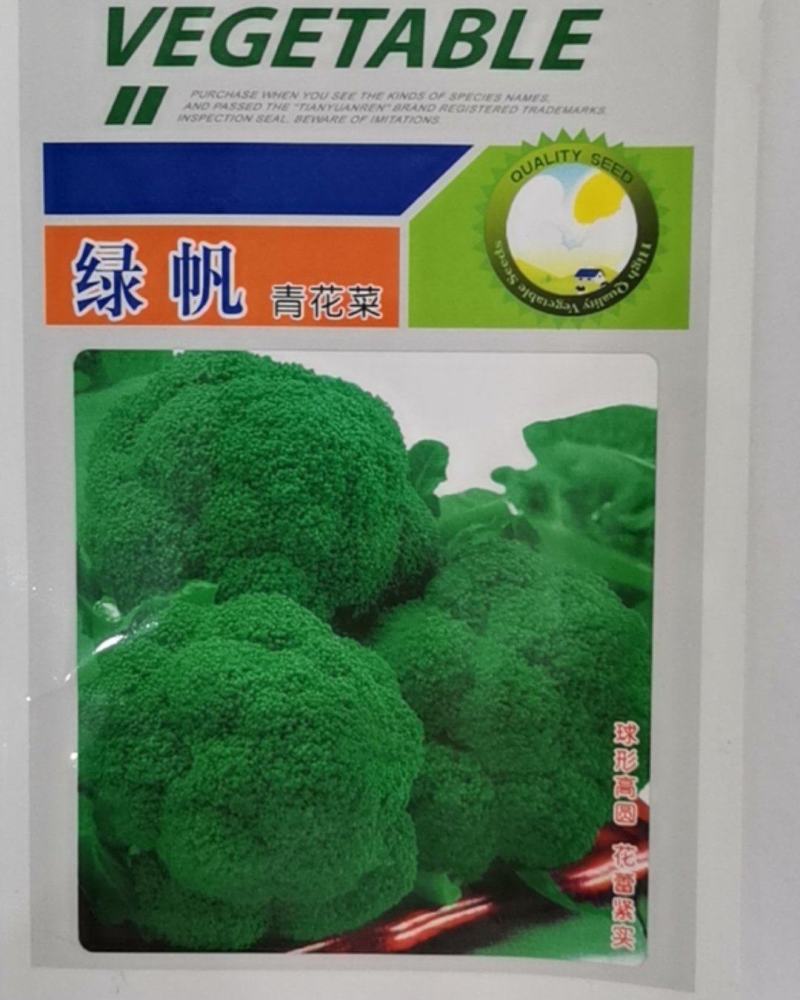 绿帆青花菜，球形高原，花蕾紧实，自覆性强，颜色深绿，抗病