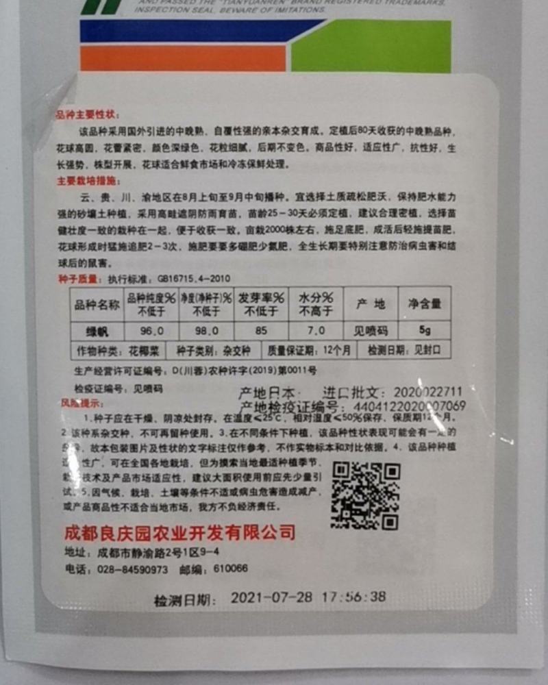绿帆青花菜，球形高原，花蕾紧实，自覆性强，颜色深绿，抗病