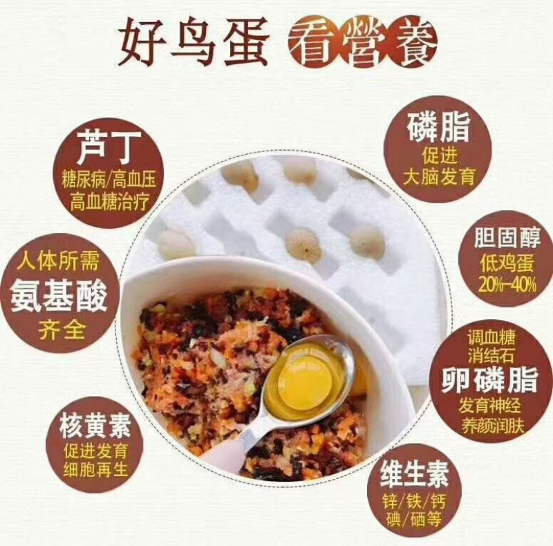 芦丁鸡