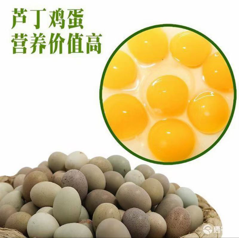 芦丁鸡