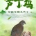 芦丁鸡