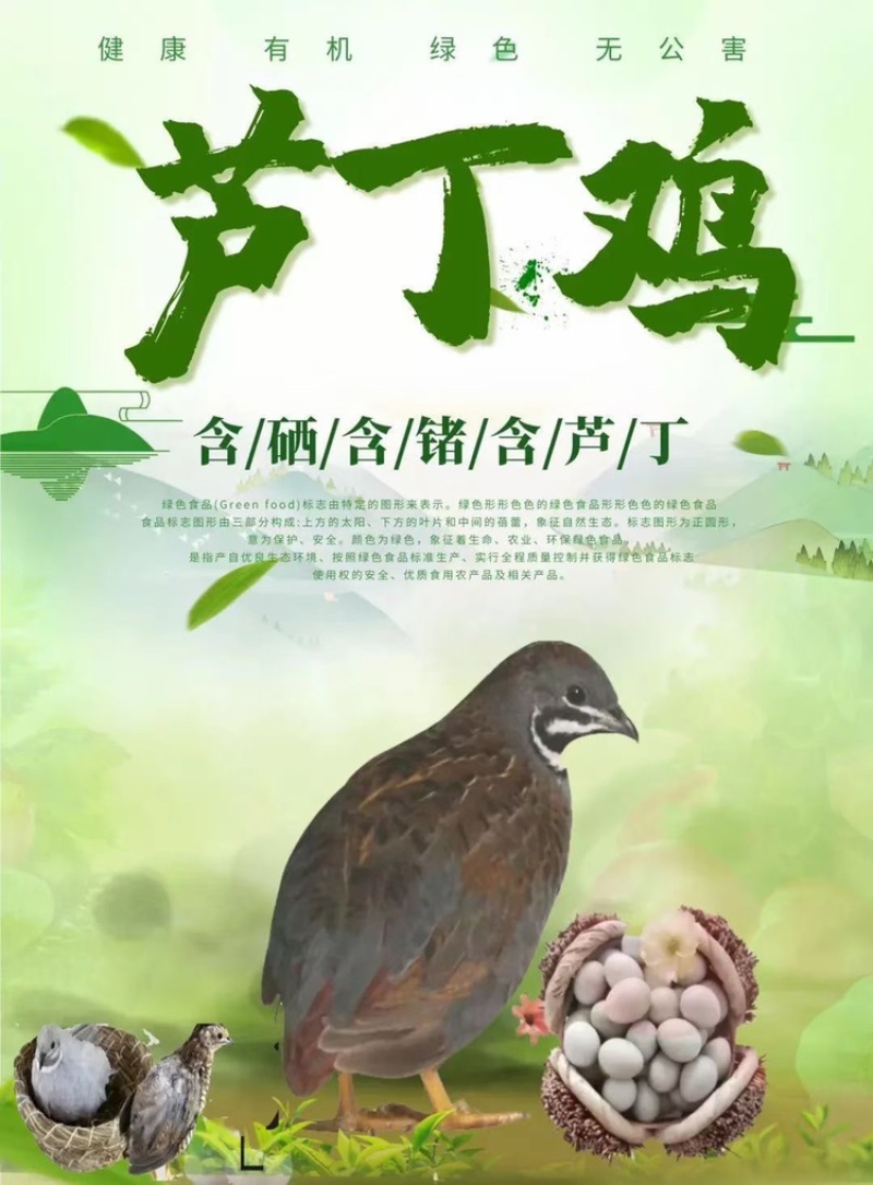 芦丁鸡