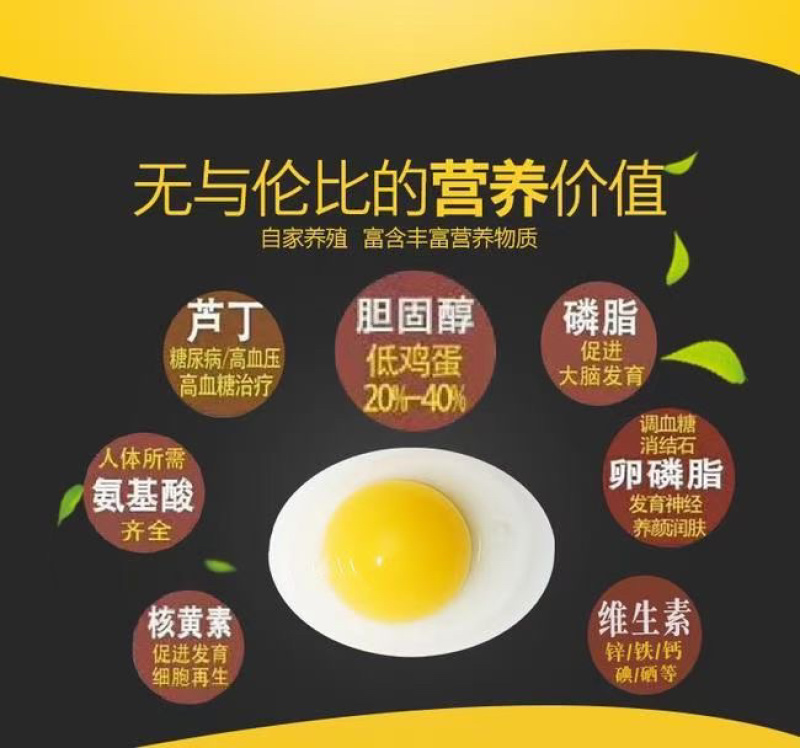 芦丁鸡