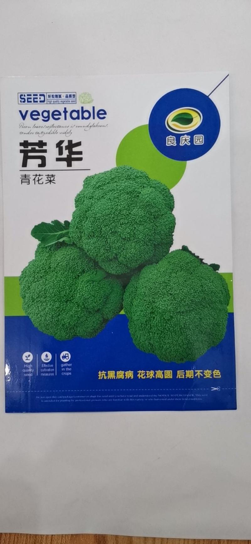 芳华西兰花，中晚熟品种，抗病强，颜色绿，花球高原，花蕾细