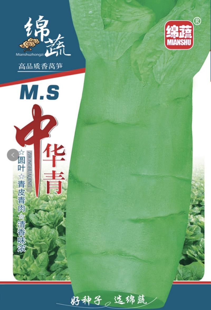 绵蔬中华青/莴笋种子/莴苣种子/蔬菜种子/耐寒种子