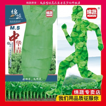 绵蔬中华青/莴笋种子/莴苣种子/蔬菜种子/耐寒种子