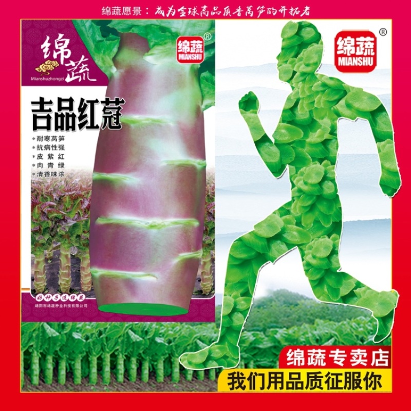 吉品红蒄/莴笋种子/莴苣种子/红尖叶莴笋/耐寒莴笋