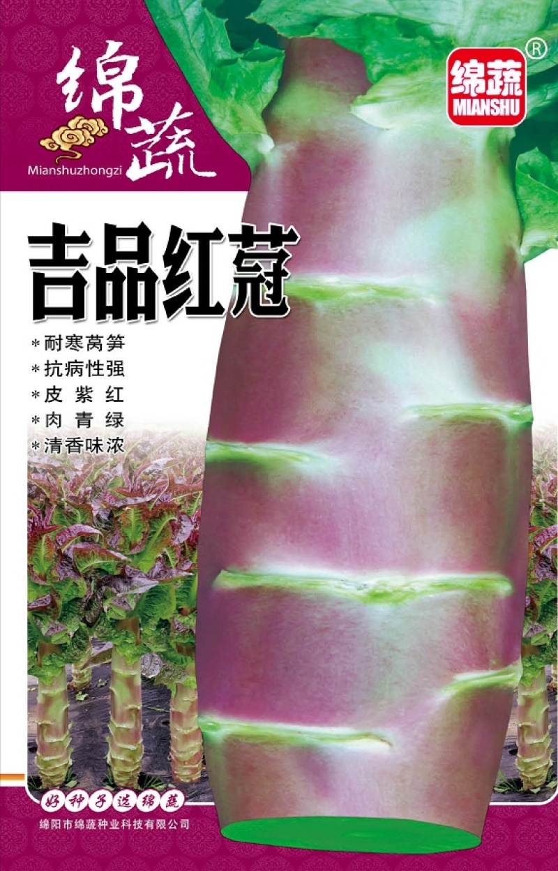 吉品红蒄/莴笋种子/莴苣种子/红尖叶莴笋/耐寒莴笋