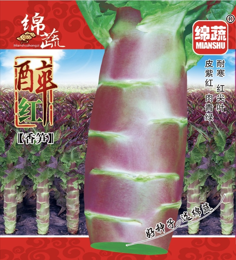 醉红/莴笋种子/莴苣种子/红尖叶莴笋/耐寒莴笋