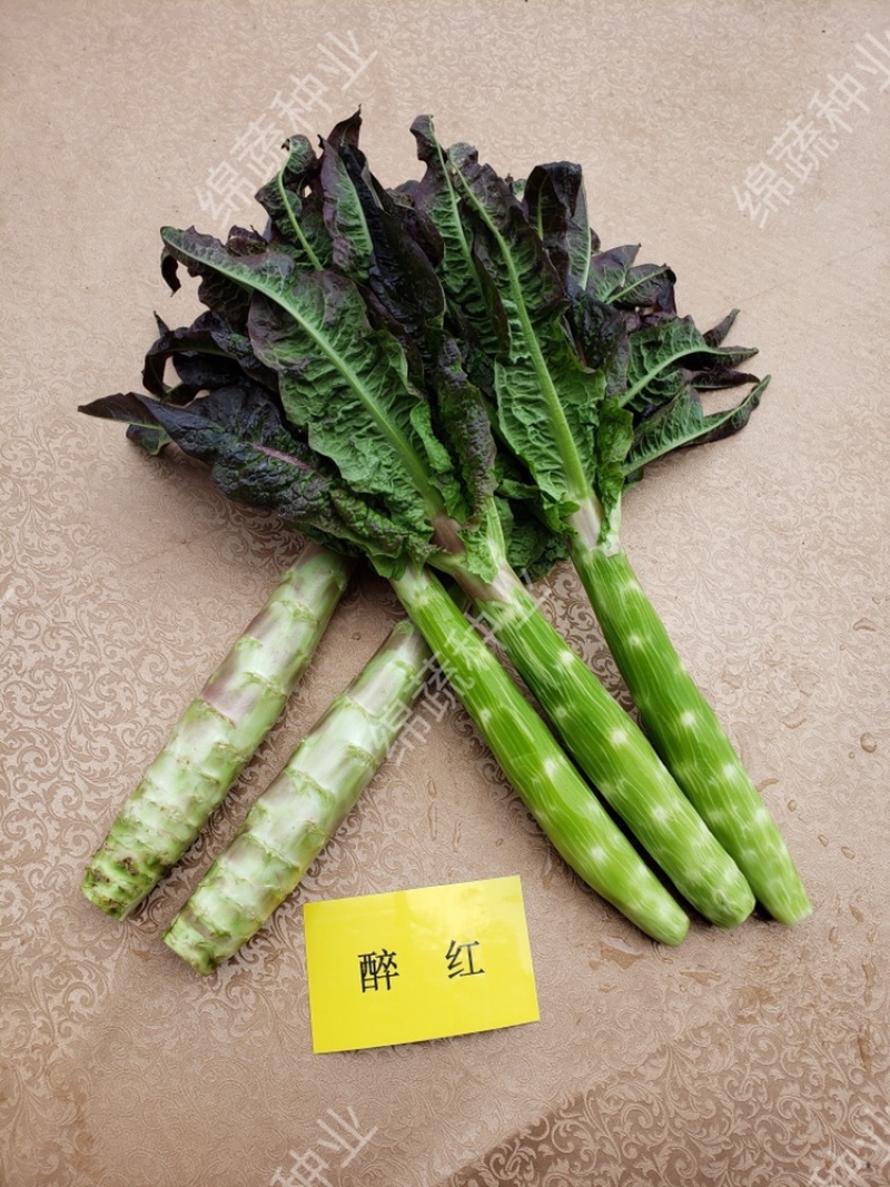 醉红/莴笋种子/莴苣种子/红尖叶莴笋/耐寒莴笋