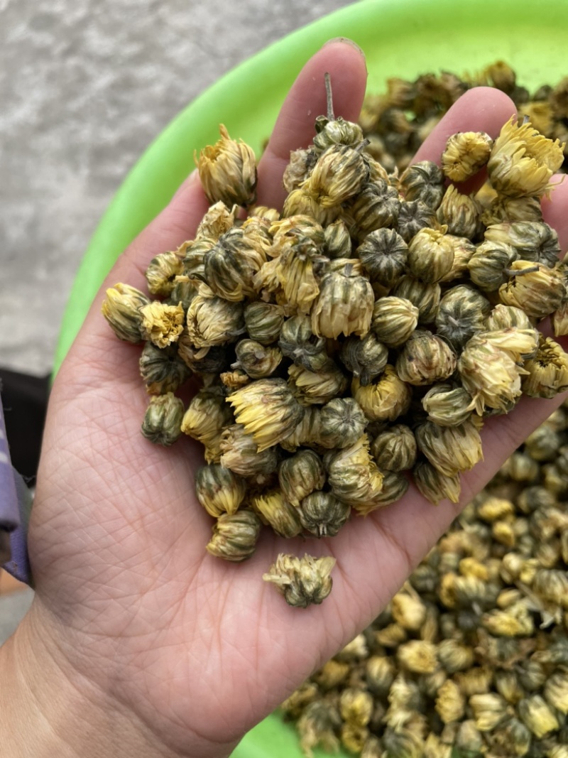 【产地直供】北京胎菊王胎菊米散装批发菊花茶花草茶