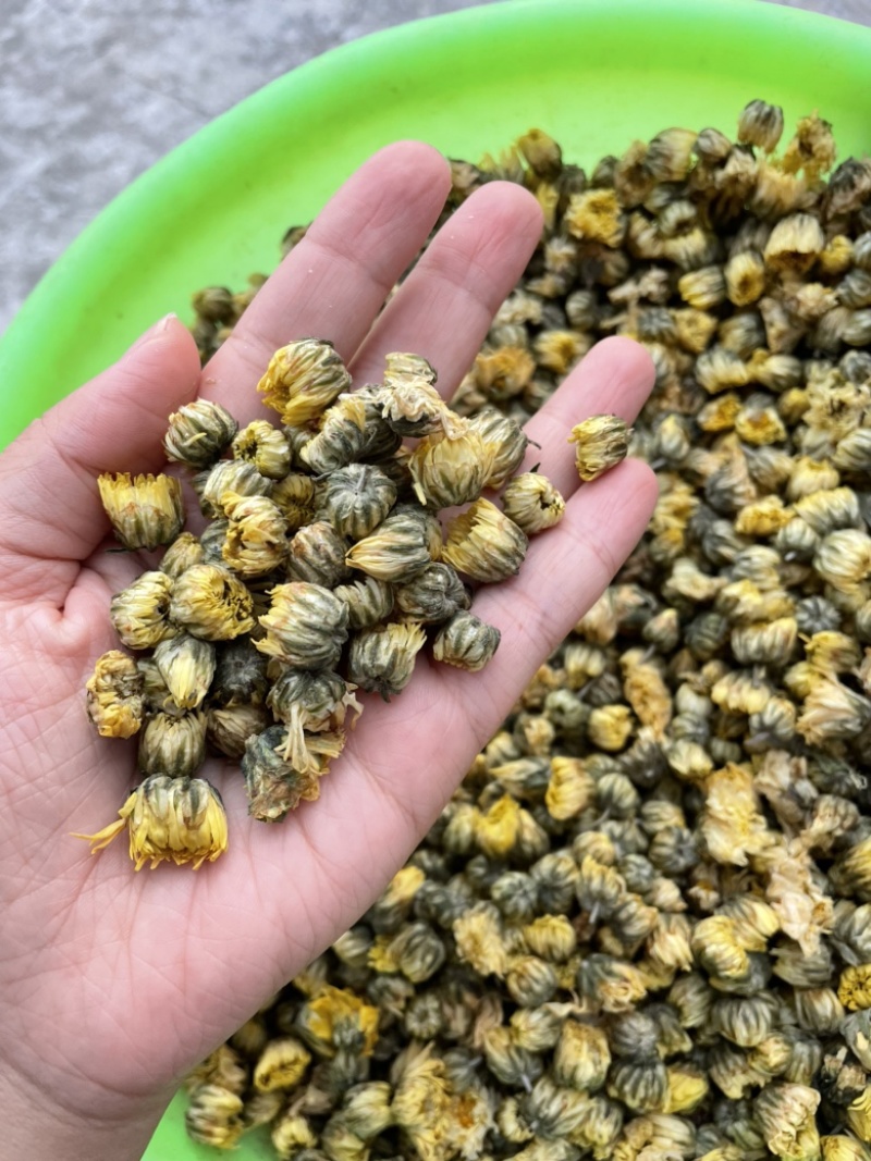【产地直供】北京胎菊王胎菊米散装批发菊花茶花草茶