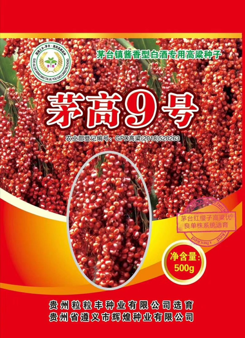 红缨子系列高梁种子，茅高八号九号，茅台红，红缨糯，等